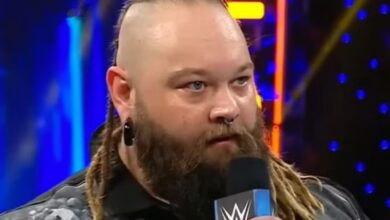 WWE Champion Bray Wyatt passed away