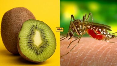 Reason behind eating Kiwi in Dengue