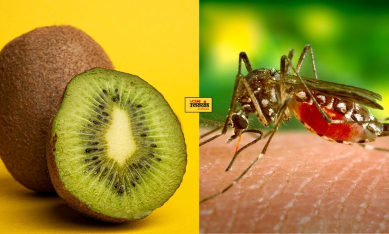 Reason behind eating Kiwi in Dengue