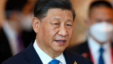 XI Jinping to skip G20 summit