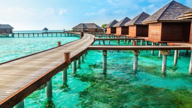 lakshadweep holiday packages