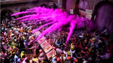 braj holi