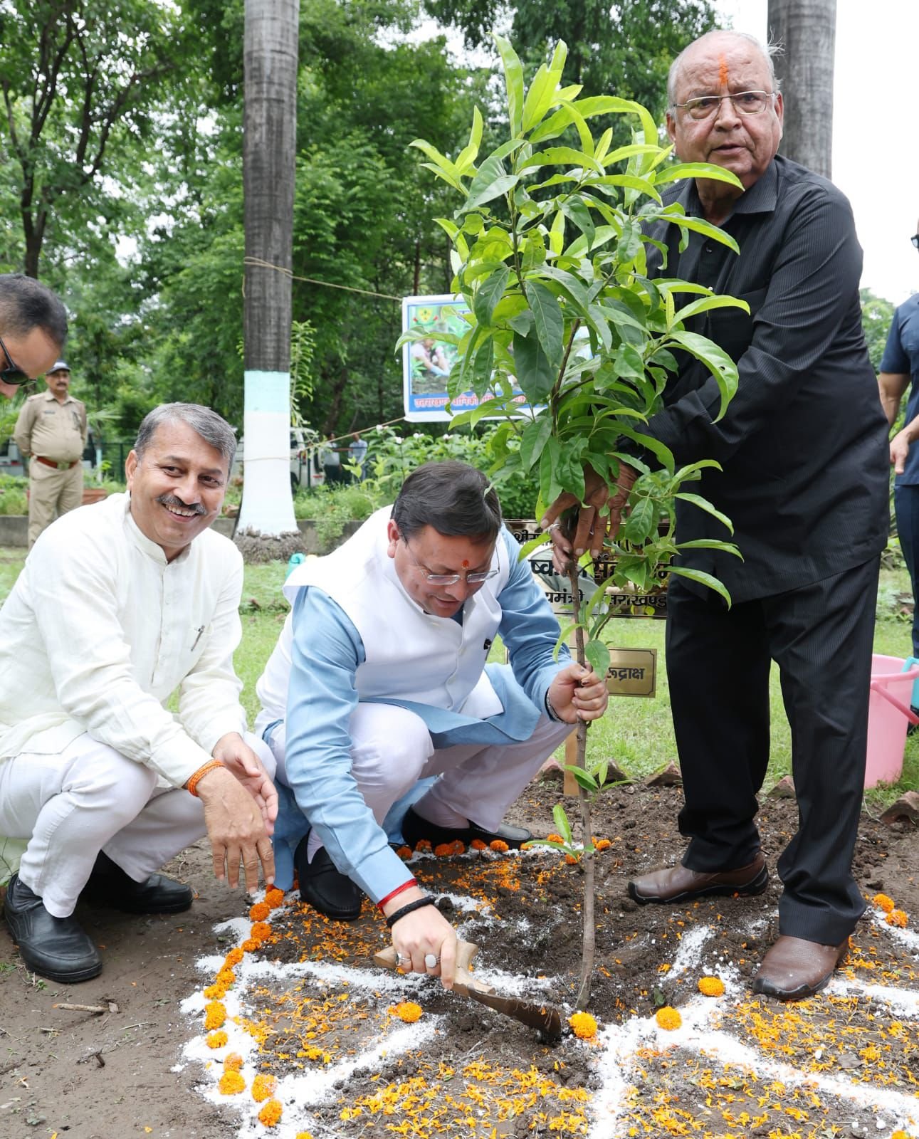 मुख्यमंत्री ने किया वृक्षारोपण